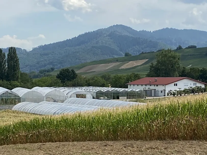 Bächlehof in Ballrechten-Dottingen